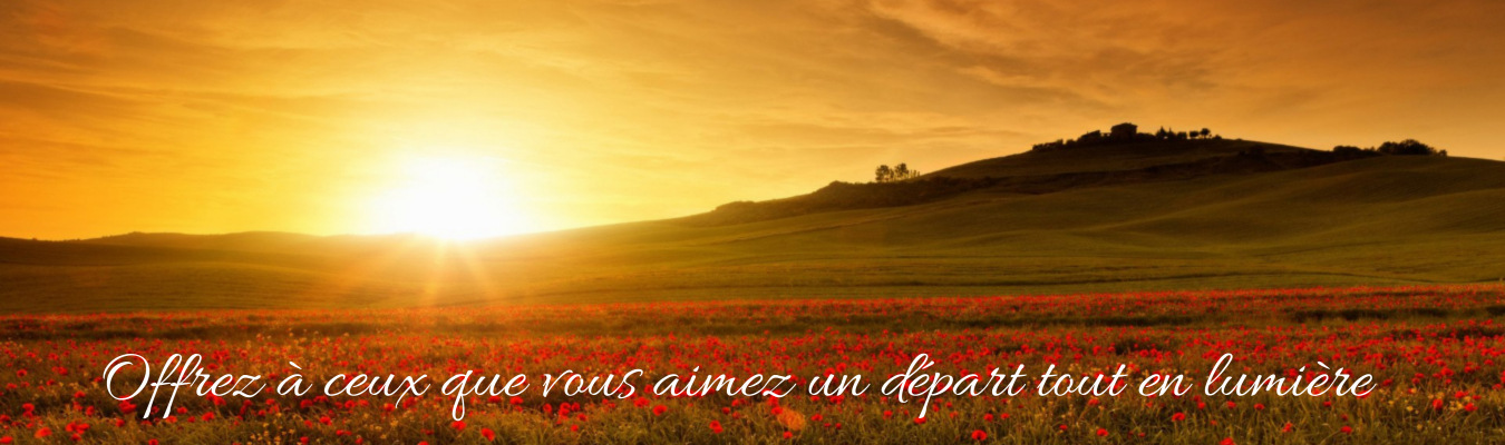 meilleursalonfuneraire.png
